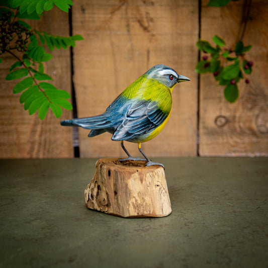 Hand Made Hand Painted Wooden Sculpture of a Giant Yellow-Chested Warbler