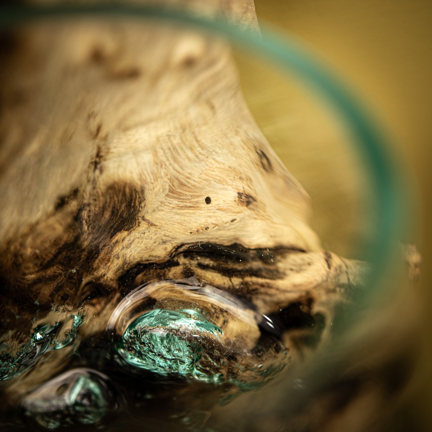 Blown Glass Vase on Natural Coffee Root Wall-Mount
