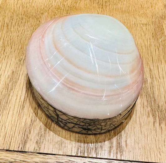Pink Shell Jewelry Box