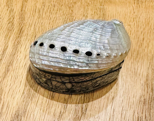 Mini Shell Jewelry Box