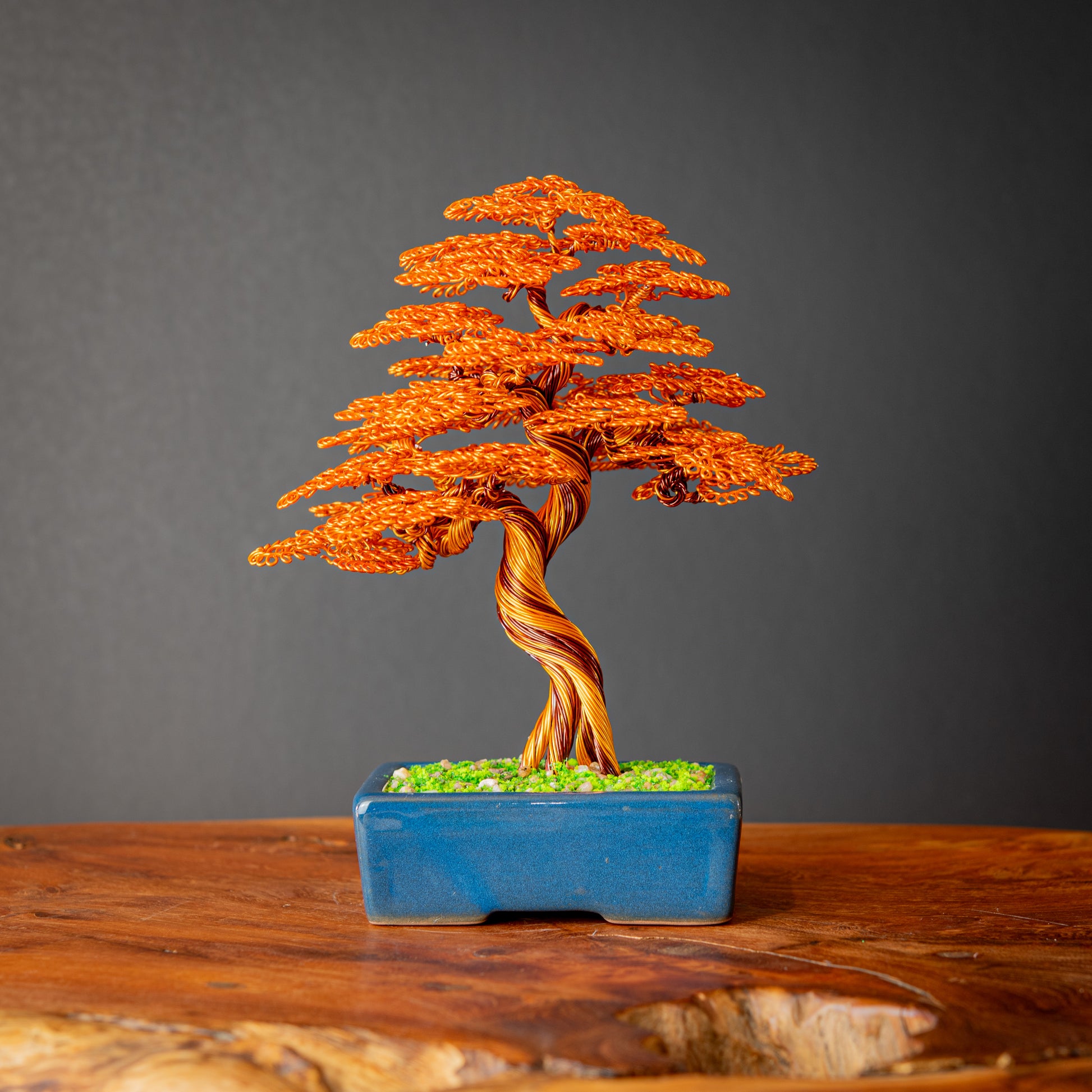 bonsai lucky tree Wire Lucky Tree Bonsai, 20cm – Beau et Fou