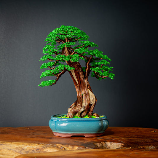 Formal Upright Bonsai, 30cm