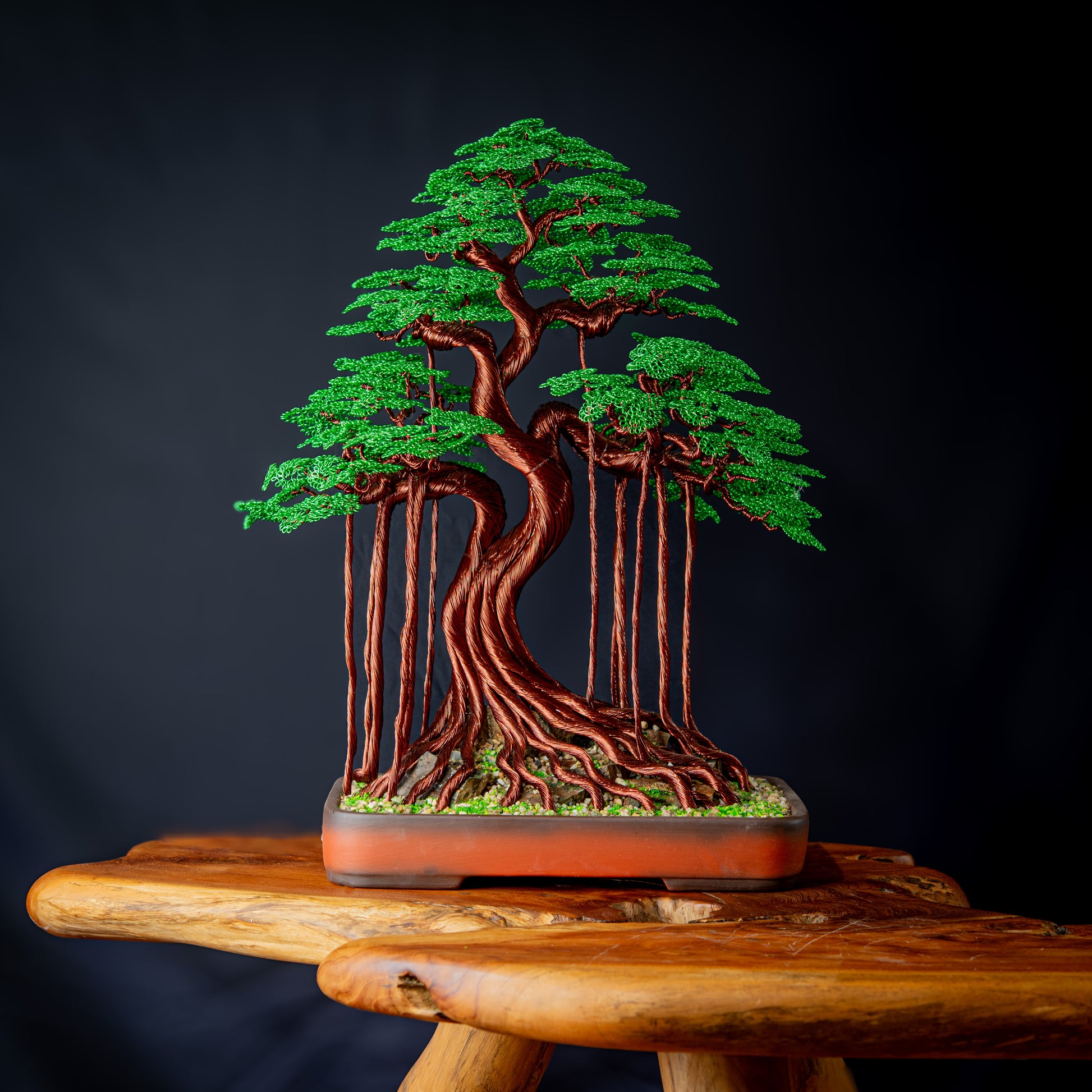 lucky bonsai tree Wire Lucky Tree Bonsai, 55cm – Beau et Fou
