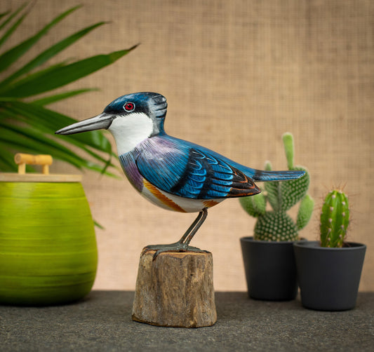 Photo of a bird