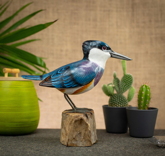 Photo of a bird