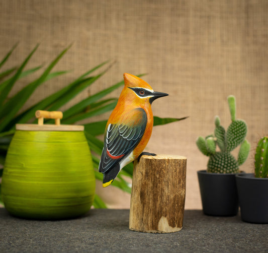 Photo of a bird