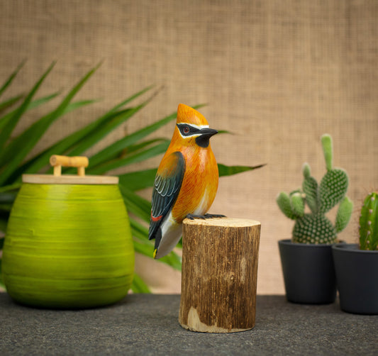 Photo of a bird