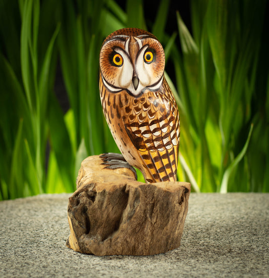 Hand Made Hand Painted Wooden Sculpture of a Short-Eared Owl