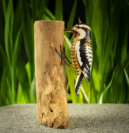 Hand Carved, Hand Painted Wooden Bird Sculpture of a Yellow-Bellied Sapsucker
