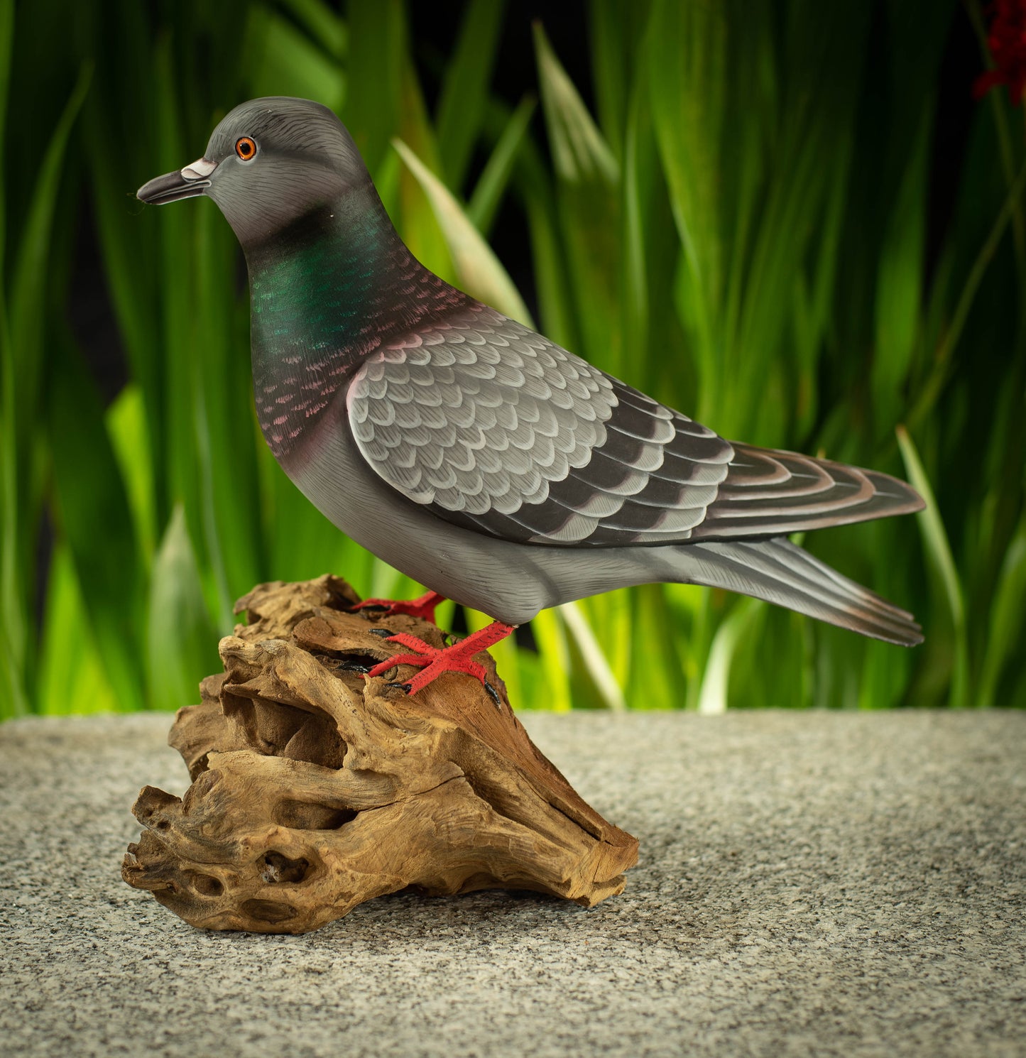 Hand Carved, Hand Painted Wooden Bird Sculpture of a Rock Dove