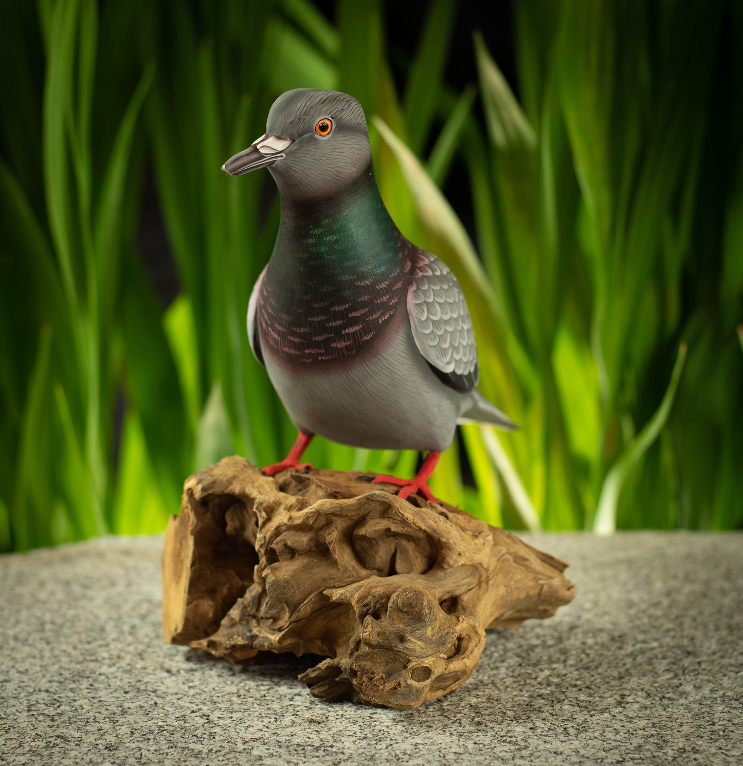 Hand Carved, Hand Painted Wooden Bird Sculpture of a Rock Dove
