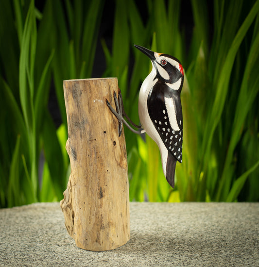 Hand Made Hand Painted Wooden Sculpture of a North American Hairy Woodpecker