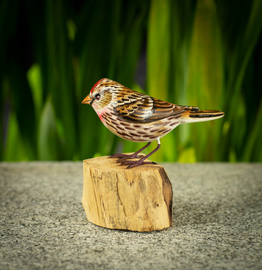 Hand Made Hand Painted Wooden Sculpture of a Common Redpoll