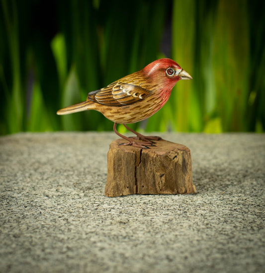 Hand Made Hand Painted Wooden Sculpture of a House Finch