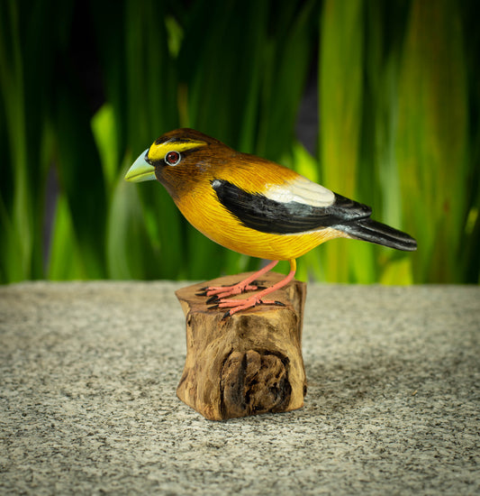 Hand Made Hand Painted Wooden Sculpture of an Evening Grosbeak